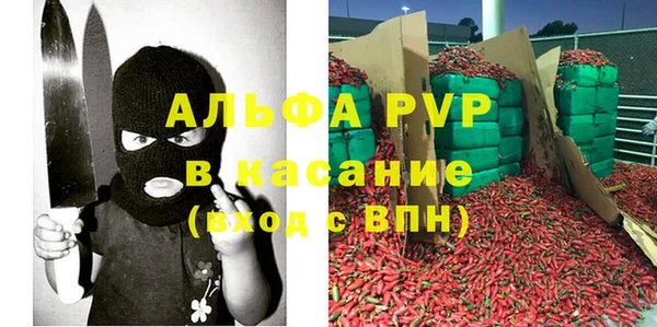 сатива Гусев