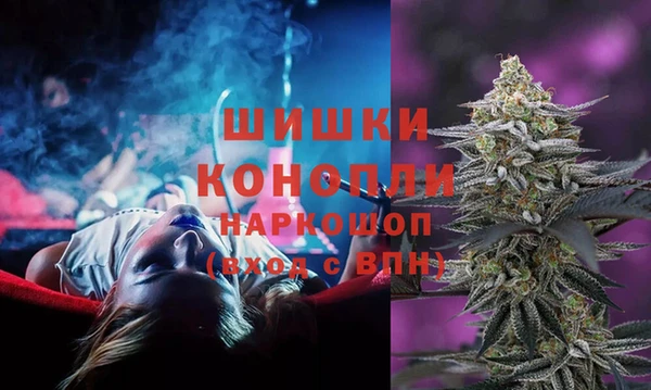 крисы Горнозаводск