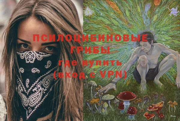 крисы Горнозаводск