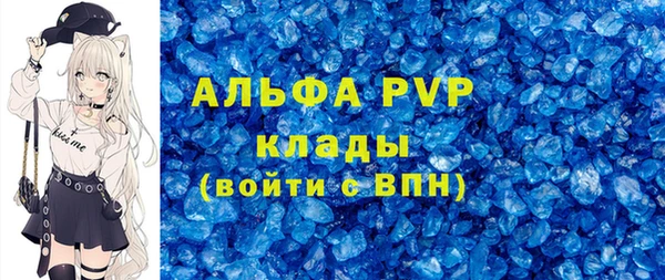 сатива Гусев
