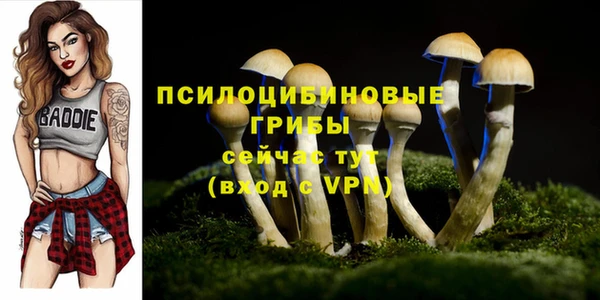 сатива Гусев